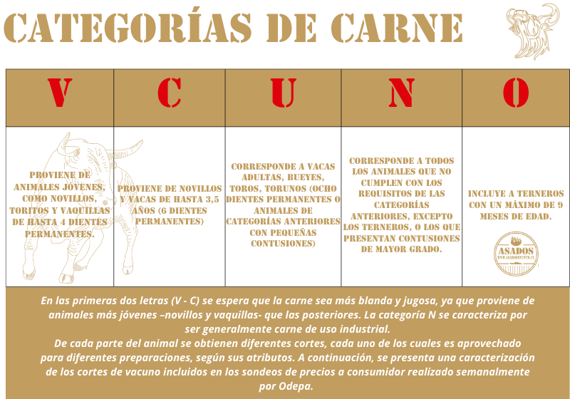 ¿Cómo elegir la carne? ¡Ah, la eterna pregunta que nos persigue en el supermercado! Elegir la carne adecuada puede ser todo un desafío, especialmente cuando te encuentras parado frente al mostrador de la carnicería con cara de confusión. Pero no te preocupes, estoy aquí para ayudarte a navegar por el mundo de la carne con gracia y estilo. Primero y principal, cuando estás eligiendo carne, es importante prestar atención a la grasa. Sí, la grasa. No te preocupes, no te estoy diciendo que te conviertas en un experto en nutrición de la noche a la mañana, pero es importante saber que la grasa de la carne puede decir mucho sobre su calidad. La grasa blanca es generalmente preferible a la grasa amarillenta, ya que puede indicar que la carne ha sido almacenada por demasiado tiempo o que proviene de un animal más viejo. Así que, si quieres una carne jugosa y tierna, busca la grasa más blanca que puedas encontrar. Otro aspecto a tener en cuenta al elegir carne es el color. Sí, el color también importa. Aunque pueda sonar un poco superficial, el color de la carne puede decirte mucho sobre su frescura. La carne fresca suele tener un color rojo brillante, mientras que la carne que ha estado expuesta al aire durante demasiado tiempo puede volverse marrón o incluso gris. Así que, si quieres asegurarte de que estás comprando la mejor carne posible, busca siempre aquella que tenga un color rojo intenso y brillante. Pero espera, ¡hay más! También es importante prestar atención a la textura de la carne. Una carne de buena calidad debe ser firme al tacto, pero no dura. Si la carne se siente blanda o viscosa, es probable que no esté en su mejor estado. Así que, antes de llevarte a casa ese filete jugoso que tanto anhelas, asegúrate de darle un buen apretón para comprobar su textura. Y por último, pero no menos importante, no te olvides de confiar en tus sentidos. Si algo no se siente bien, probablemente no lo esté. Si la carne huele mal o tiene un aspecto extraño, es mejor no arriesgarse. Recuerda, la seguridad alimentaria es lo primero. Así que ahí lo tienes, mis queridos amigos carnívoros. Con estos simples consejos, estarás en camino de convertirte en un experto en la selección de carne en un abrir y cerrar de ojos. Ahora ve y conquista ese mostrador de la carnicería como el campeón que eres. ¡Buena suerte y que la carne esté contigo!