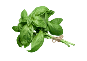 Albahaca