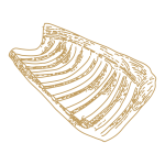 Costilla