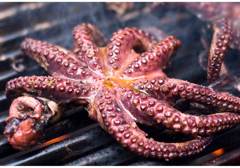 Pescados y Mariscos a la Parrilla Pulpo