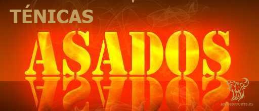 Técnicas de Asados - AsadosyPunto